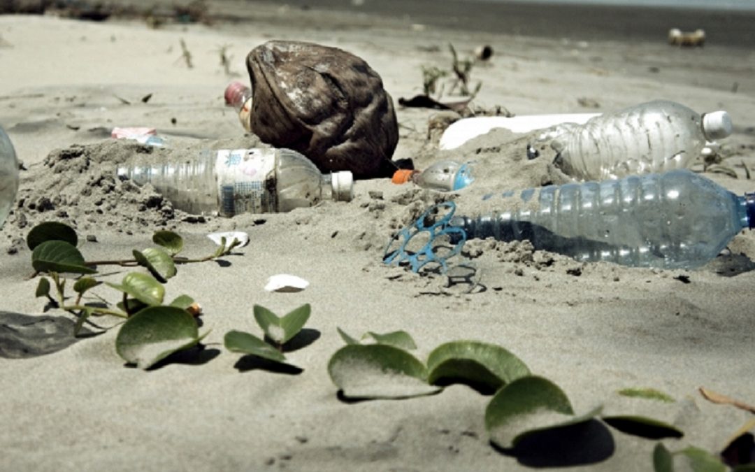 Moción para eliminar el uso de plásticos