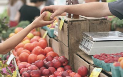 Ganemos solicita apoyar al pequeño comercio local de Palencia