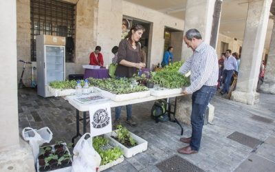 Solicitamos que se reabra el mercado ecológico