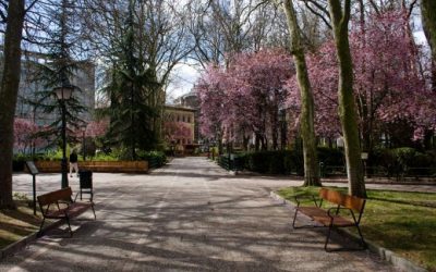 Ante la reforma del parque de los Jardinillos