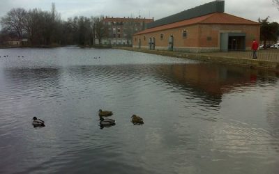 Creemos en un modelo de ciudad compacta y respetuosa con los entornos del Canal